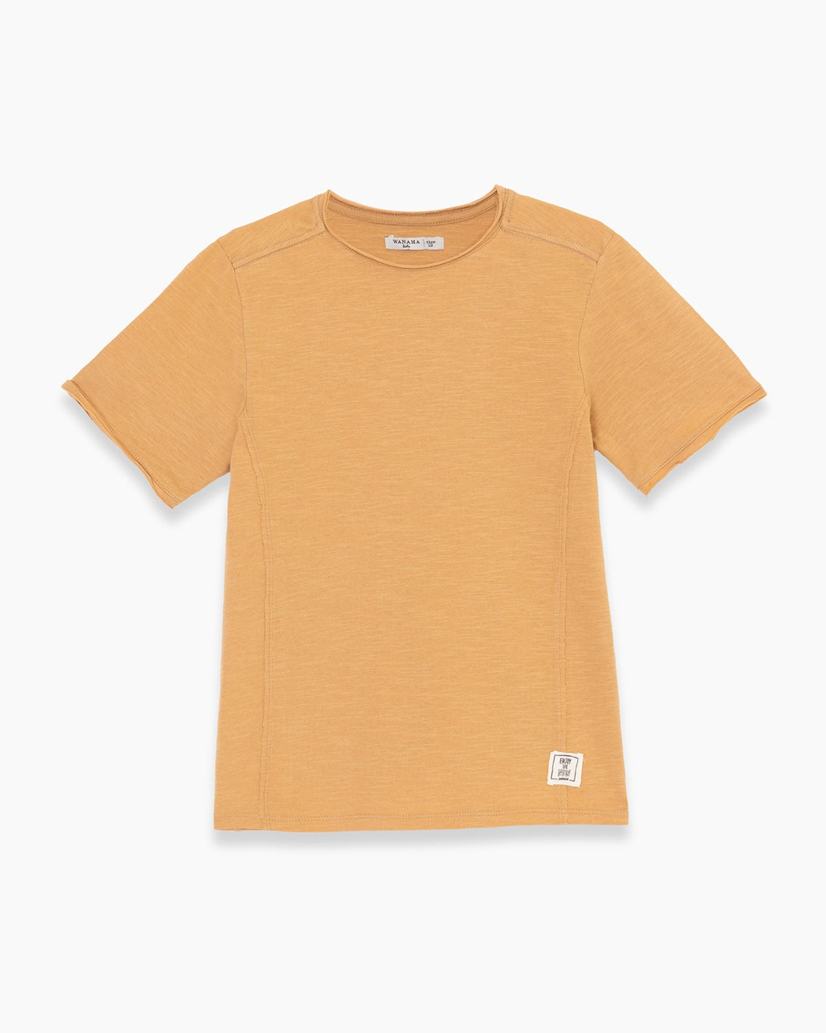 Remera Aston Niño